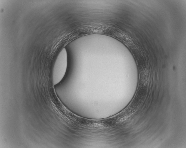 X0000059800594200510210859