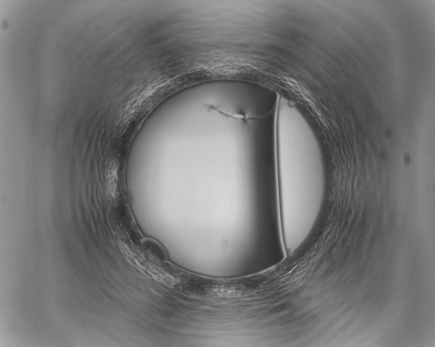 X0000059800596200510210859