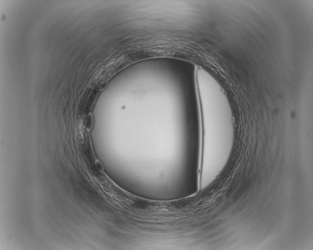 X0000059800597200510210859