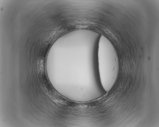 X0000059800598200510210859