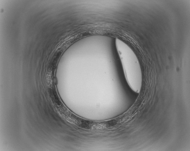 X0000059800599200510210859