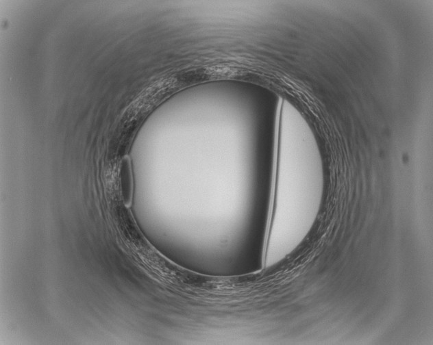 X0000059800601200510210859