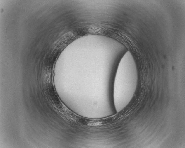 X0000059800602200510210859