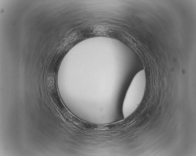 X0000059800603200510210859