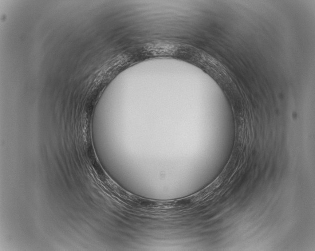 X0000059800604200510210859