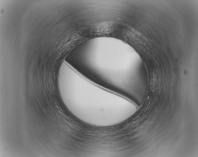 X0000059800608200510210858