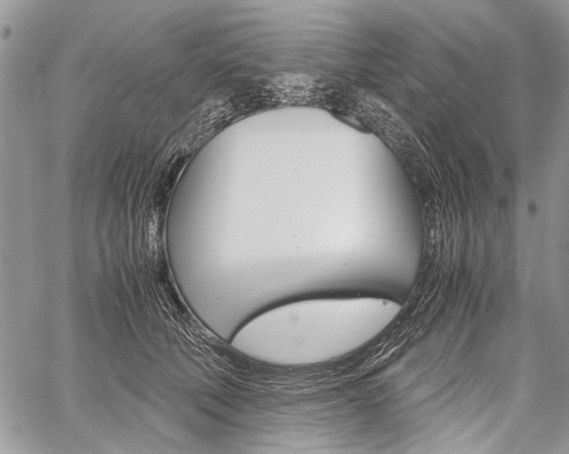 X0000059800610200510210858