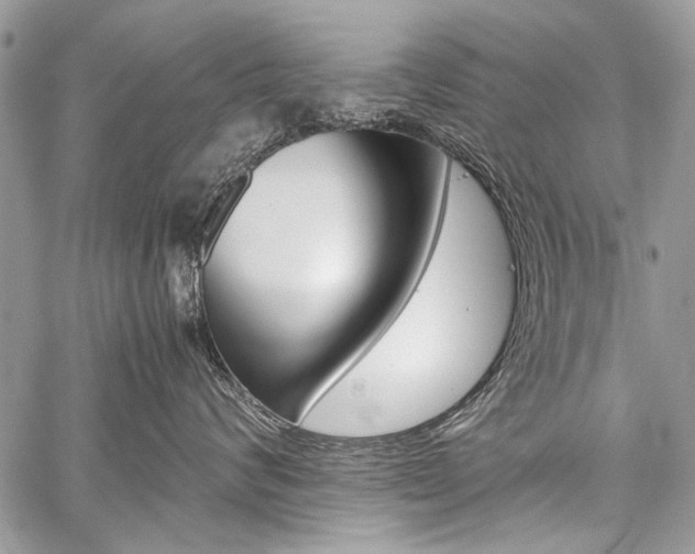 X0000059800624200510210858