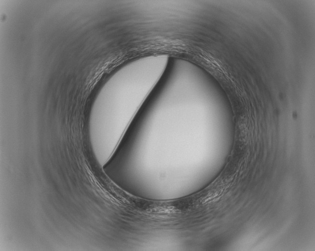 X0000059800642200510210858