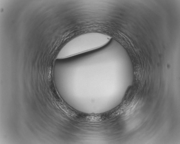 X0000059800660200510210858