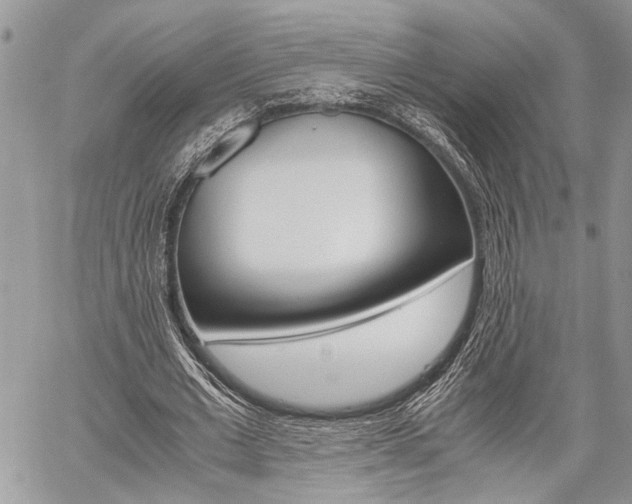 X0000059800677200510210857
