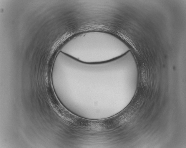 X0000059800682200510210857