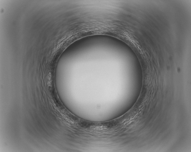 X0000059800689200510210857
