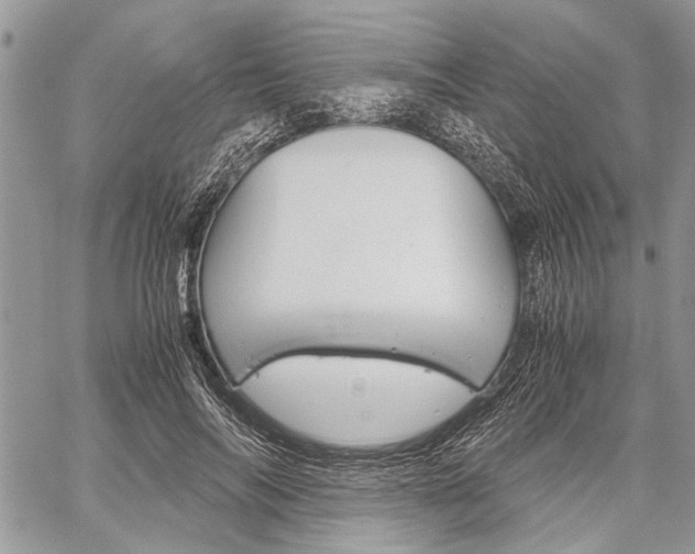 X0000059800694200510210857