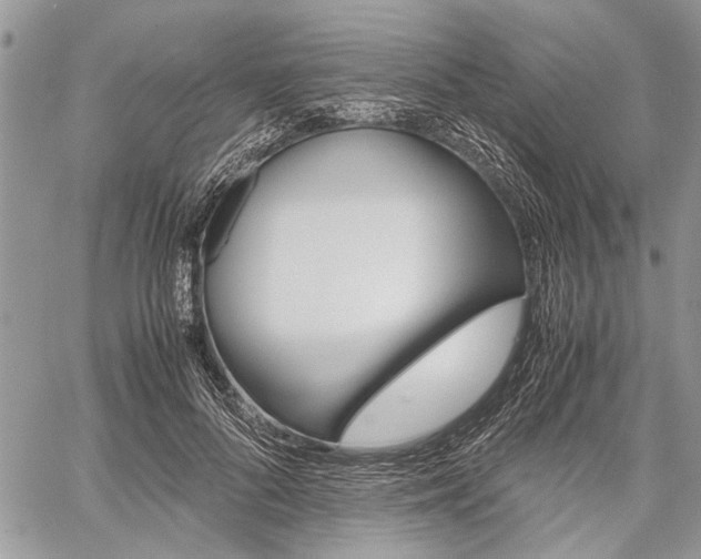 X0000059800696200510210857