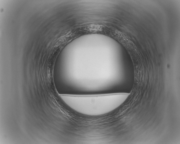 X0000059800704200510210857