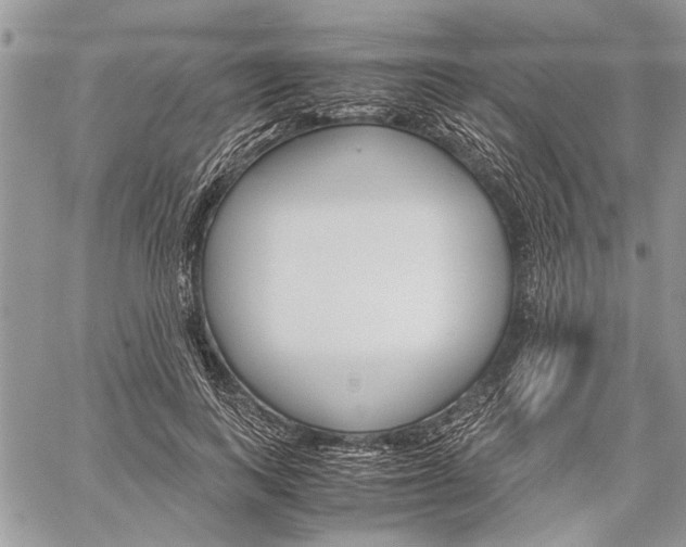 X0000059800743200510210856