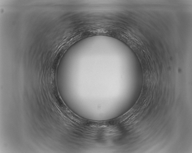 X0000059800747200510210856