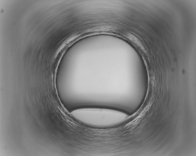 X0000059800781200510210856