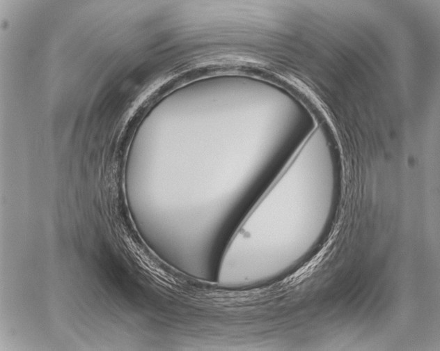 X0000059800783200510210856
