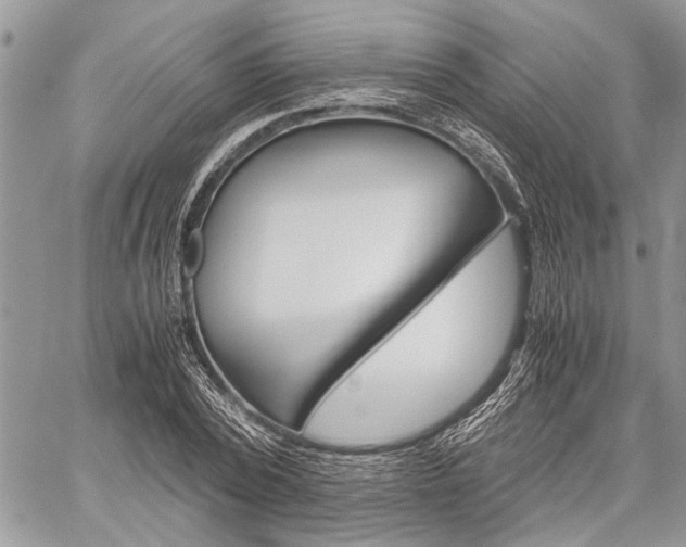X0000059800784200510210856