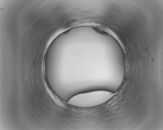X0000059800811200510210855