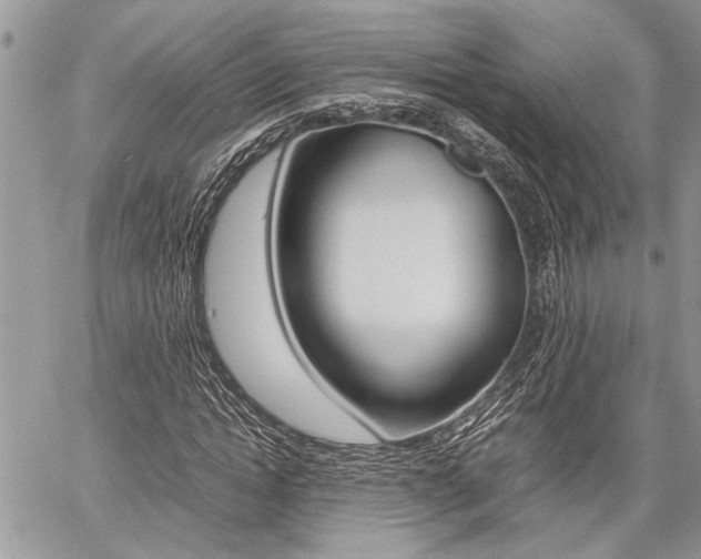 X0000059800822200510210854