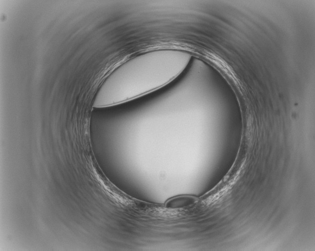 X0000059800849200510210855