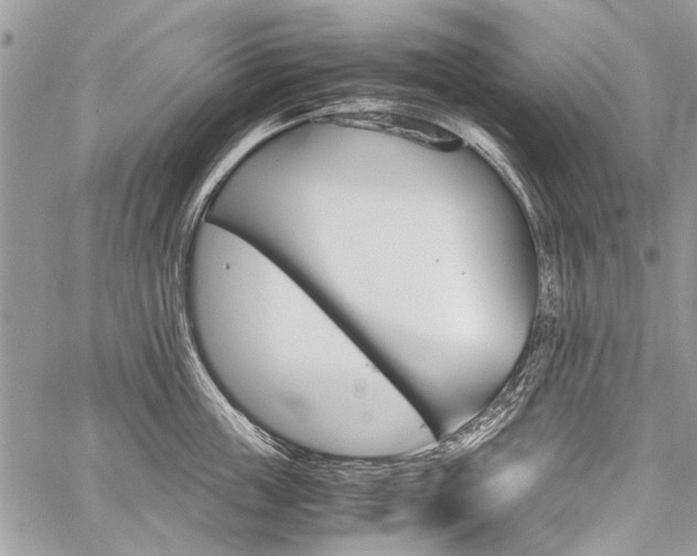 X0000059800859200510210855