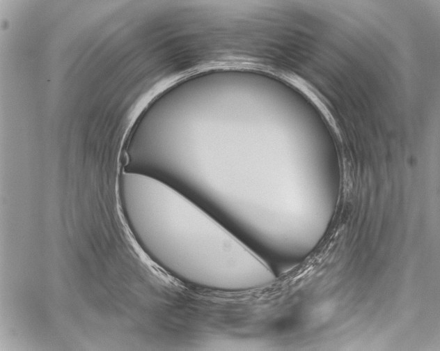 X0000059800861200510210855
