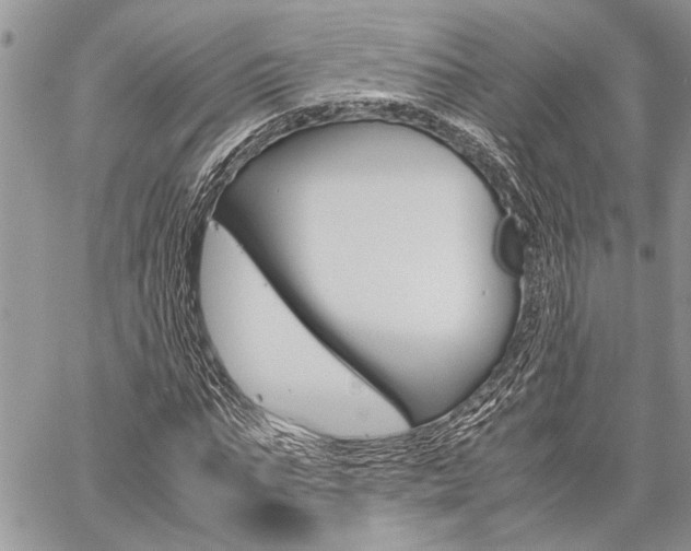 X0000059800871200510210854
