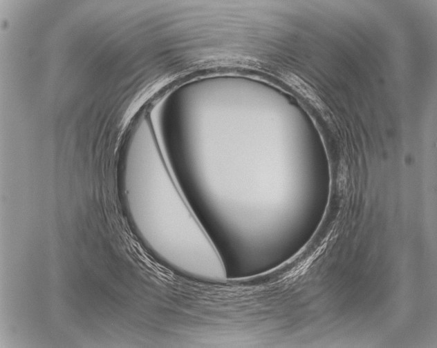 X0000059800877200510210854