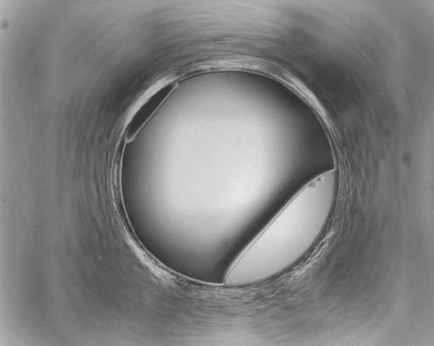 X0000059800909200510210854