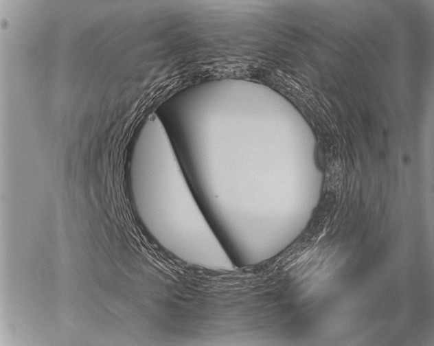 X0000059800913200510210853