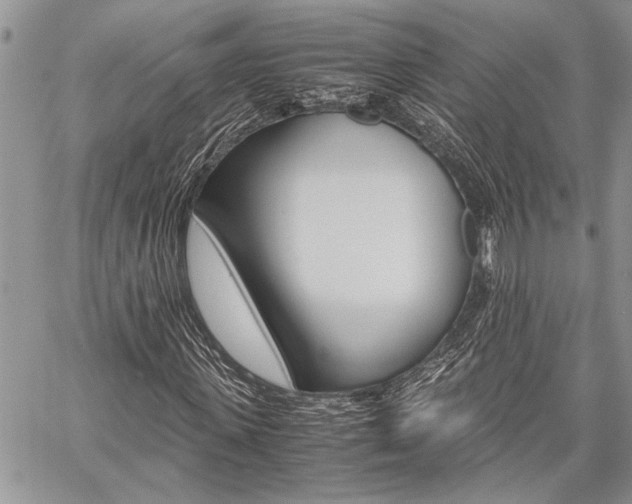 X0000059800915200510210853