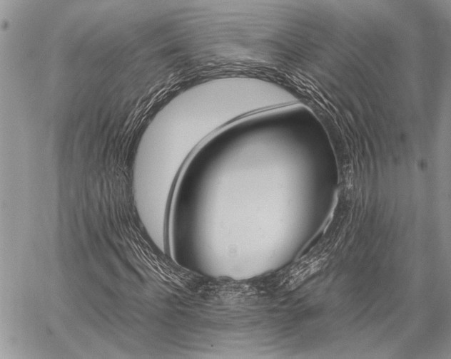 X0000059800916200510210853