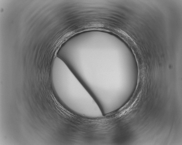 X0000059800929200510210853