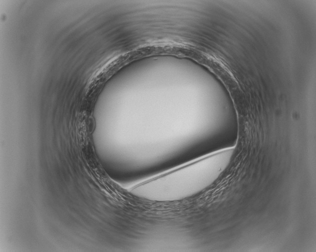 X0000059800968200510210853