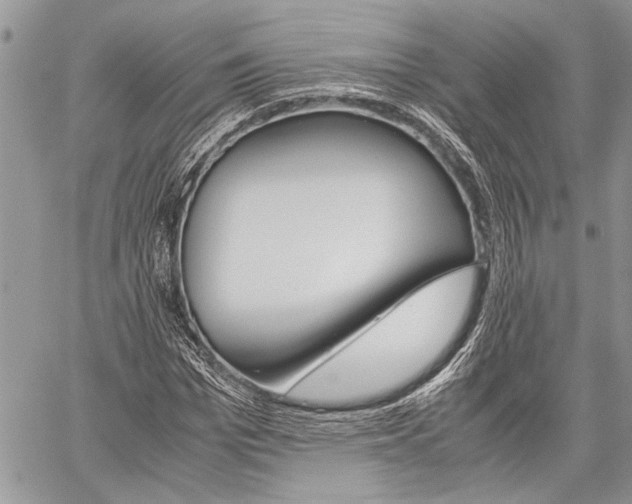 X0000059800969200510210853