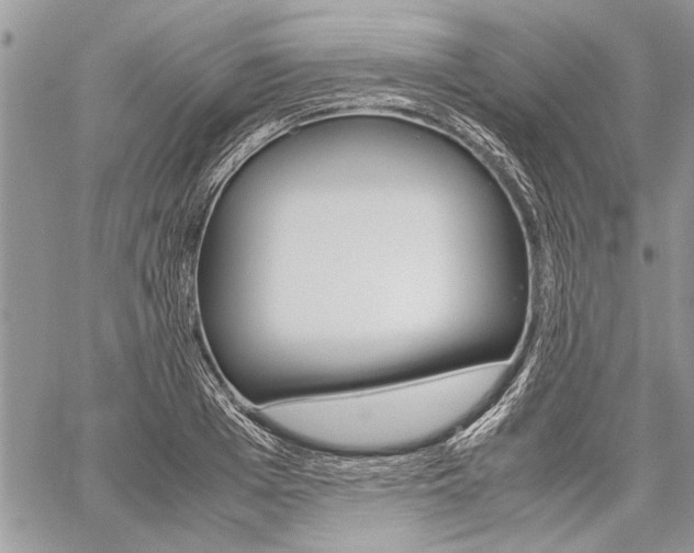 X0000059800985200510210852