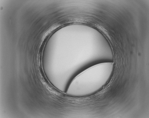 X0000059800987200510210852
