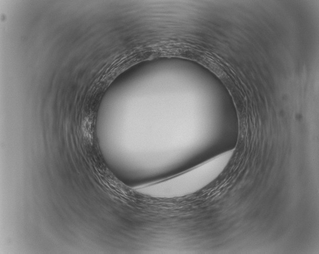 X0000059801010200510210851