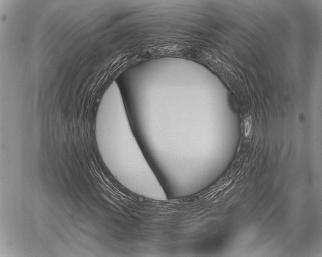 X0000059801011200510210851