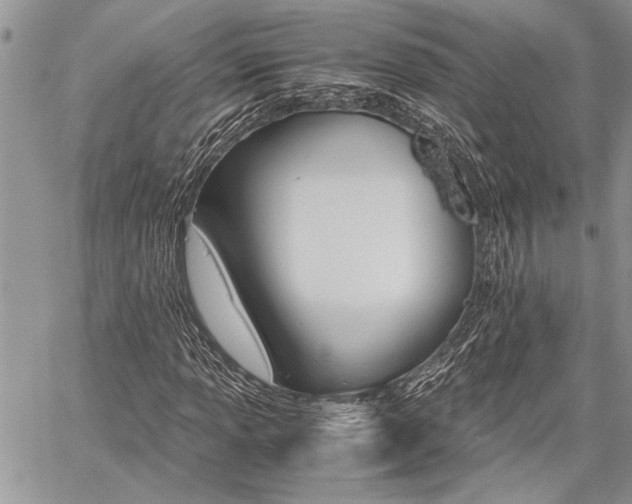 X0000059801013200510210851
