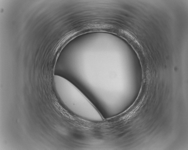 X0000059801025200510210851