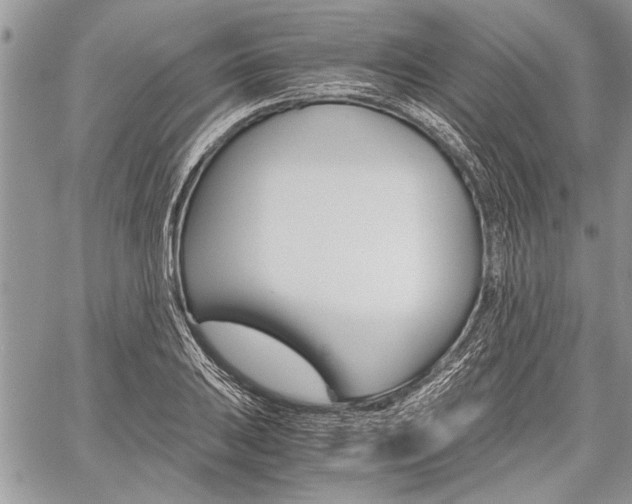 X0000059801031200510210851
