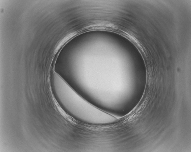 X0000059801042200510210852