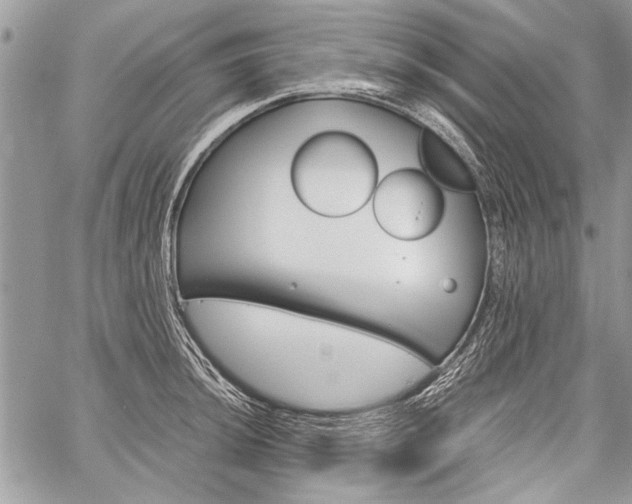 X0000059801044200510210852