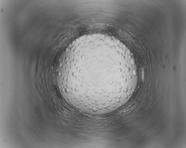 X0000059801059200510210851