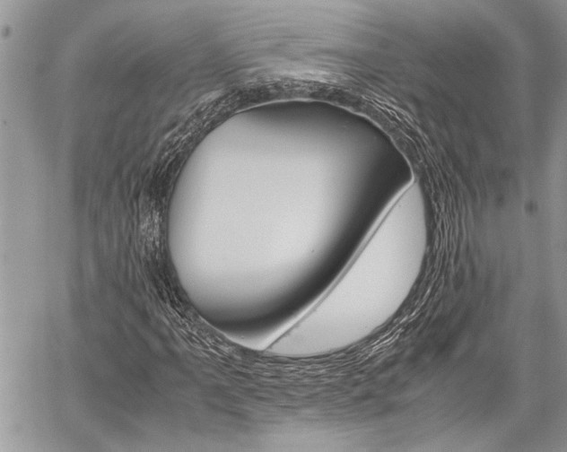 X0000059801061200510210851